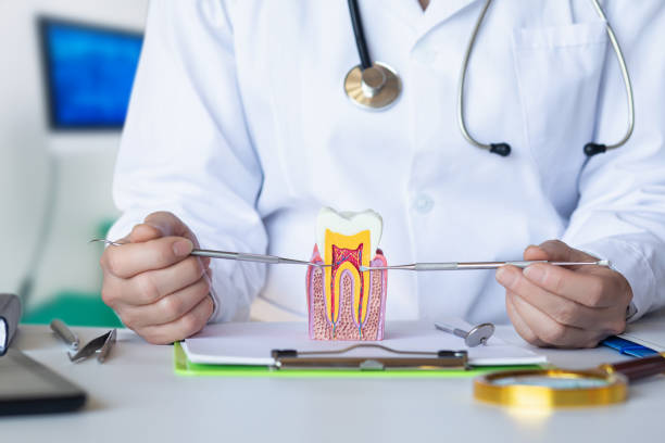 Best Chipped Tooth Repair Near Me  in St Michaels, MD